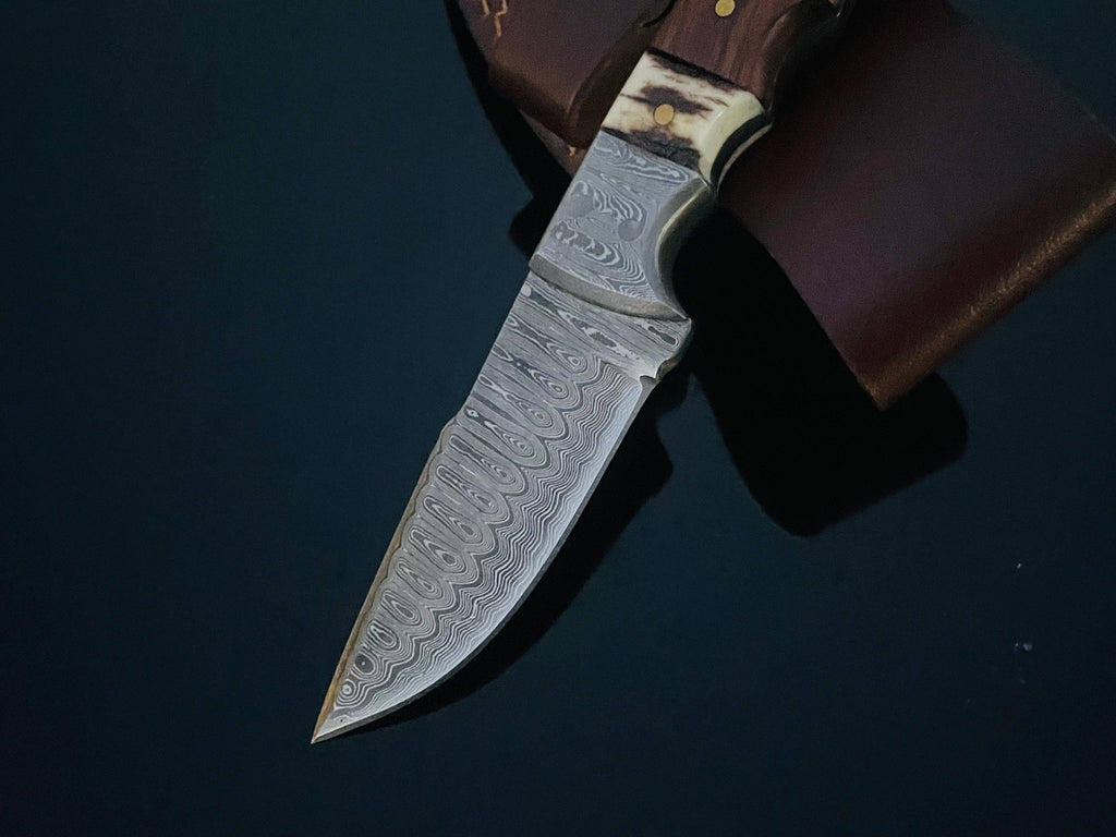 DAMASCUS STEEL FIXED BLADE KNIFE WITH WALNUT & STAG HORN HANd