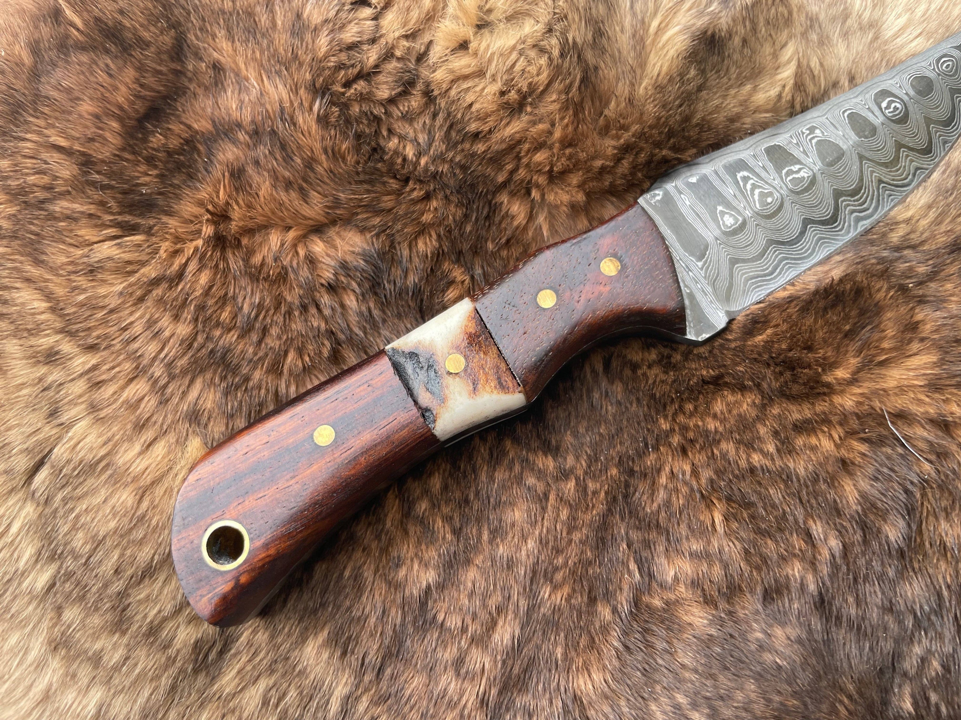 Titan TK-060 Damascus Steel Skinner Knife with Rosewood & Stag Grip