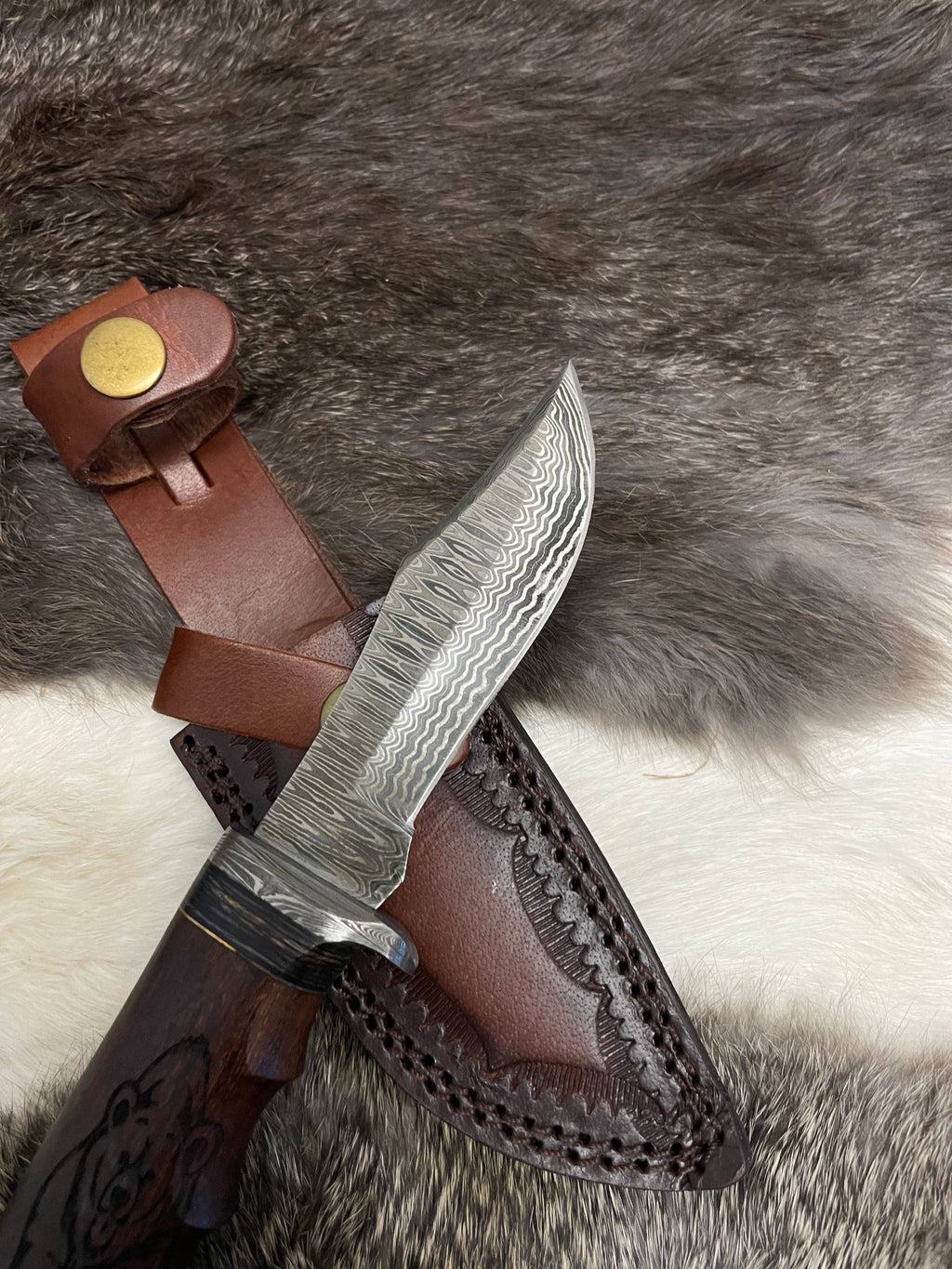 Grizzly Timberline Damascus Knife Damascus Knife  (Compact)
