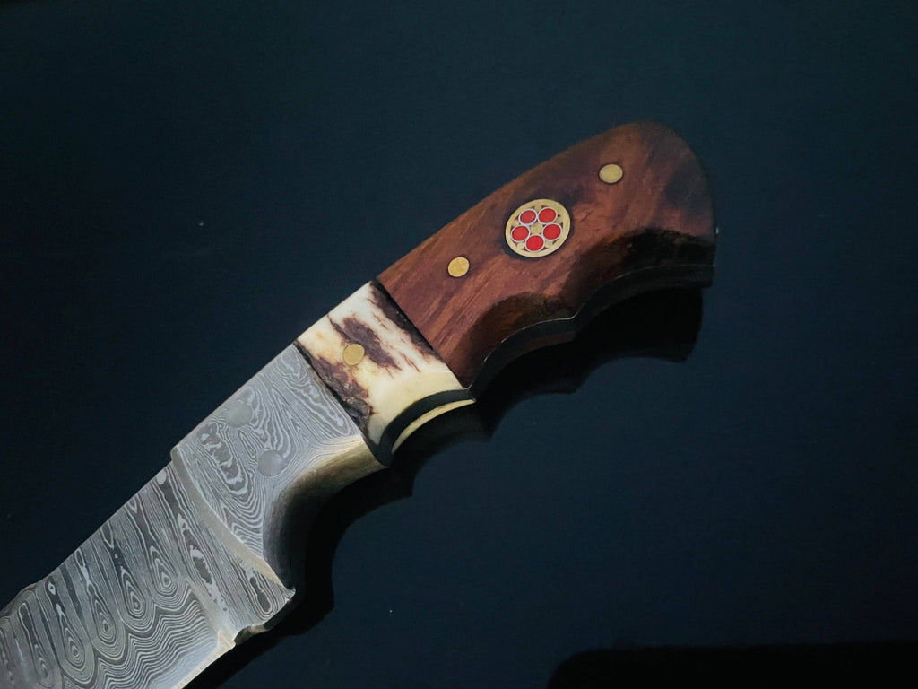 DAMASCUS STEEL FIXED BLADE KNIFE WITH WALNUT & STAG HORN HANd