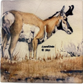 Antelope Ceramic Coasters