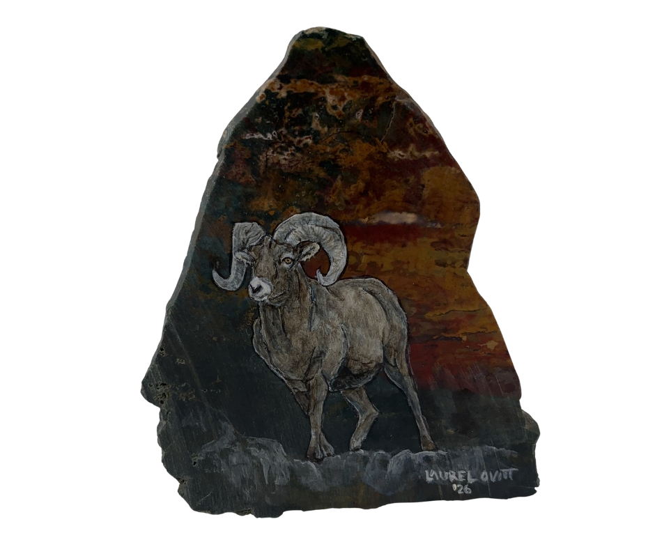 Original Big Horn Sheep Rock Art