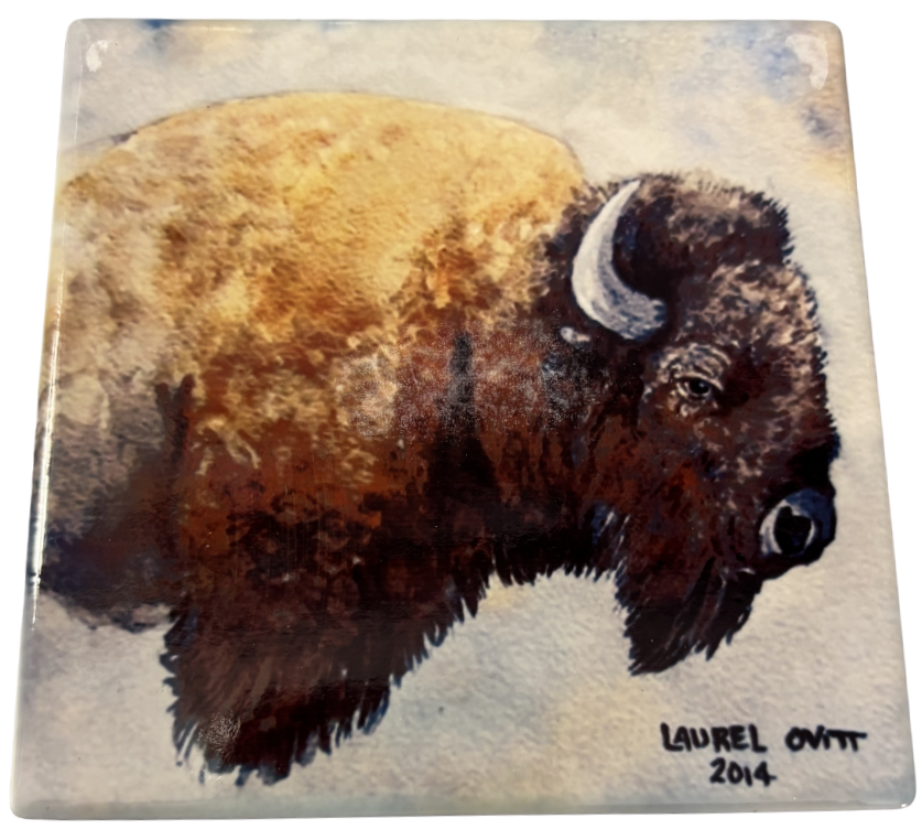Buffalo Ceramic Coasters