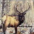 Elk Ceramic Coasters
