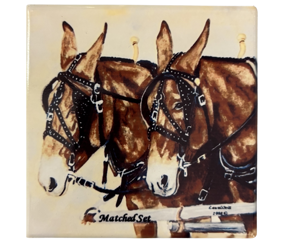 Matched Set Ceramic Coaster