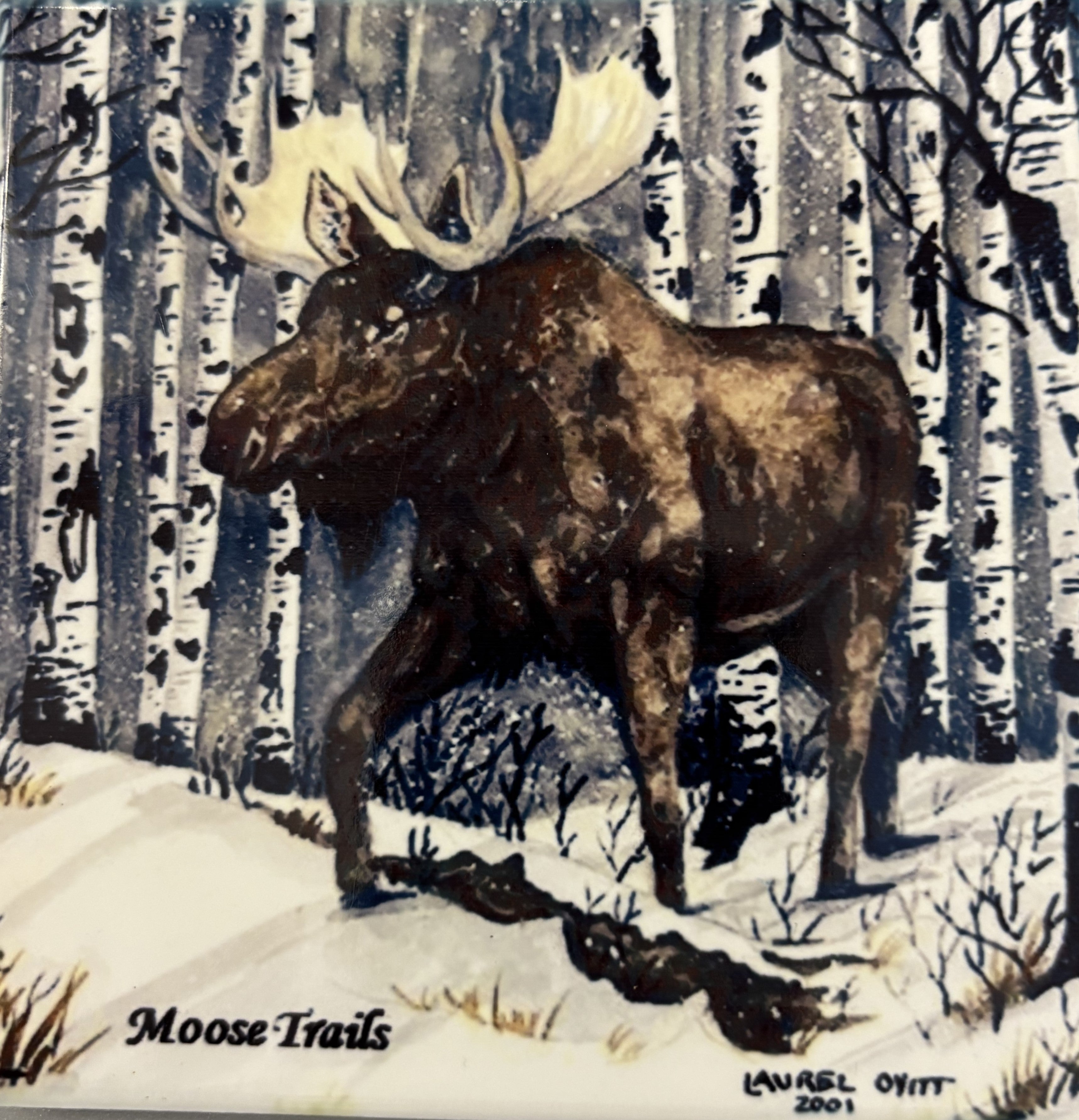 Moose Ceramic Coasters