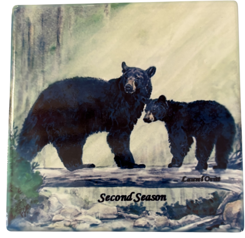 Bears Ceramic Coasters