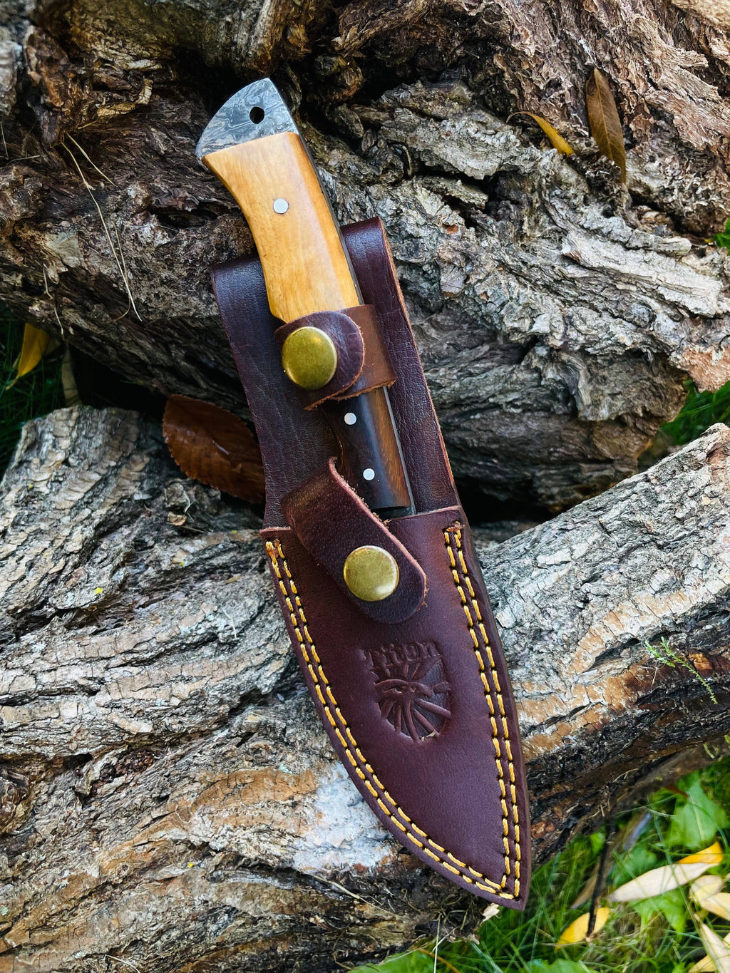 Damascus Steel Guthook Skinning Knife TK-056