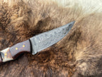 Titan TK-060 Damascus Steel Skinner Knife with Rosewood & Stag Grip