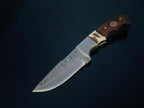 DAMASCUS STEEL FIXED BLADE KNIFE WITH WALNUT & STAG HORN HANd