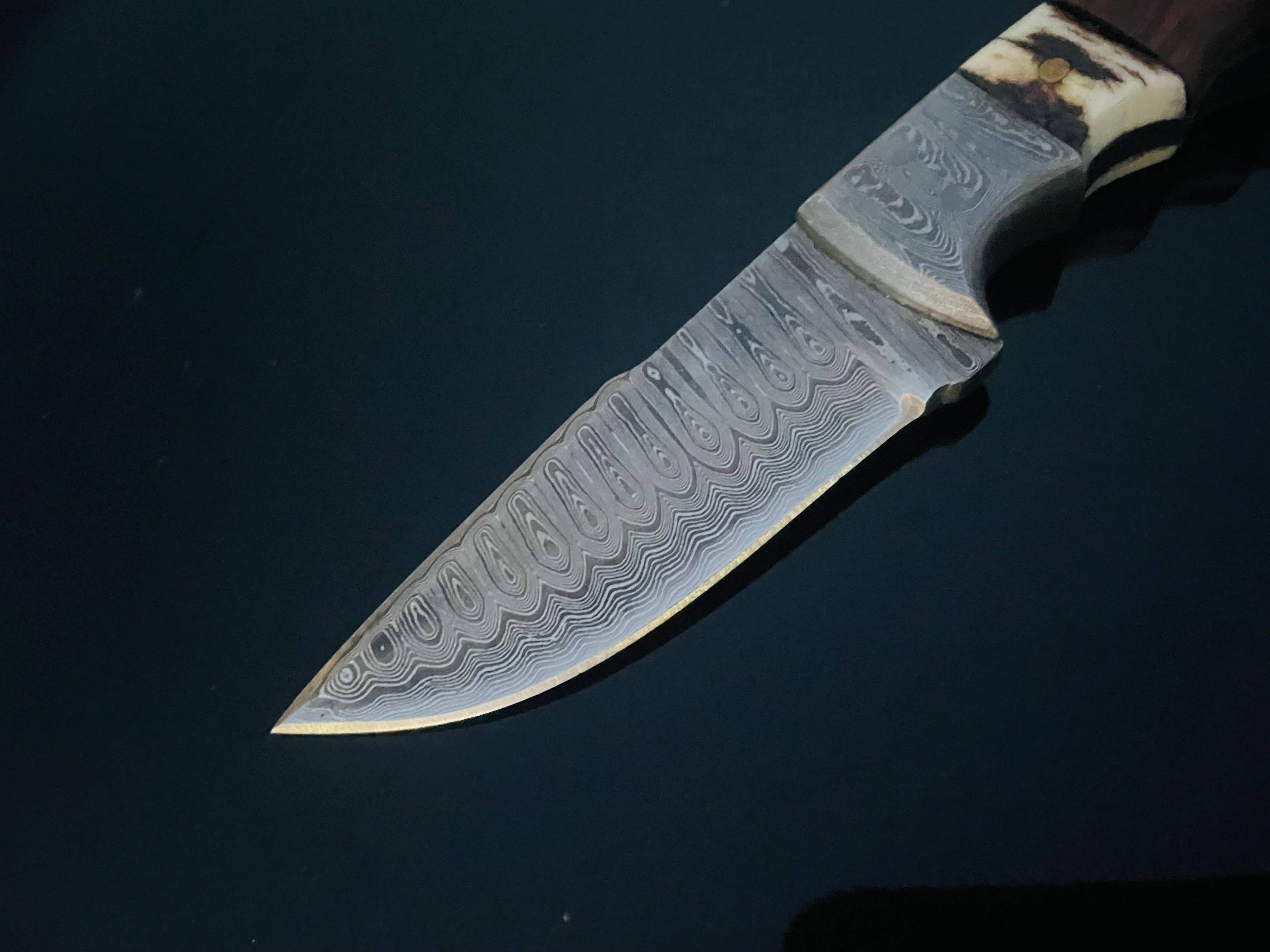 DAMASCUS STEEL FIXED BLADE KNIFE WITH WALNUT & STAG HORN HAN